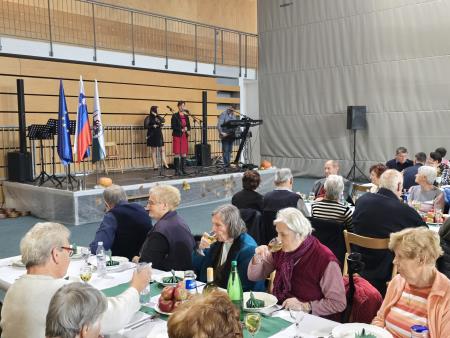 Srečanje starejših Ljutomer (10)